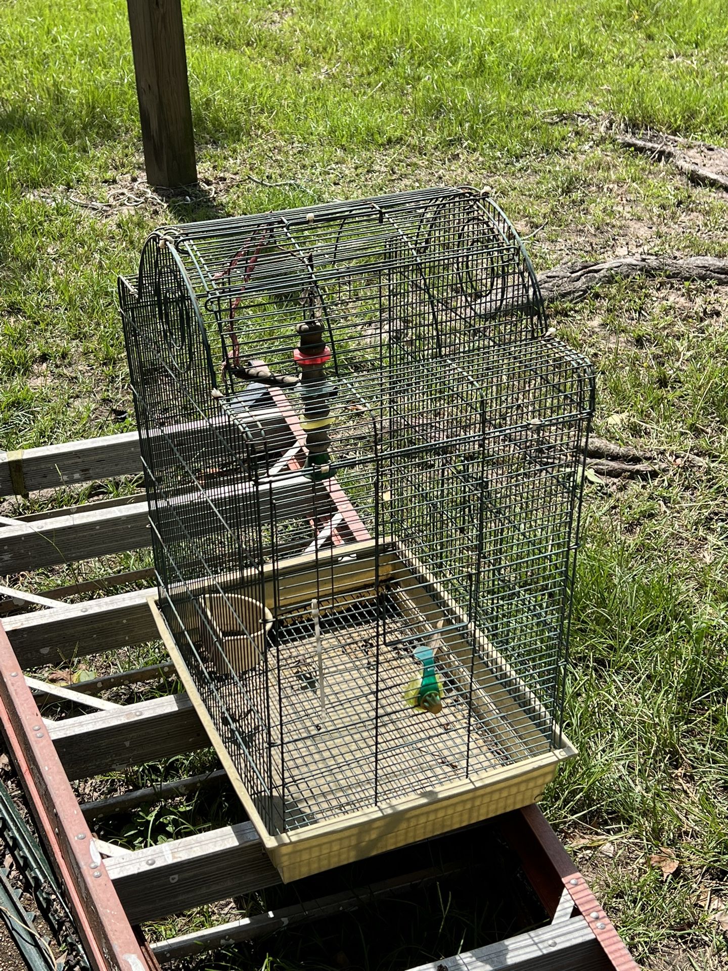 Bird Cage 