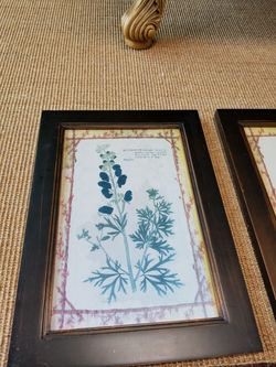 Picture frame