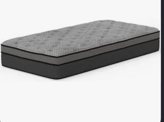 2 Twin Mattress and box spring