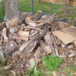 Firewood FREE