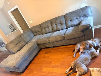Grey sectional couch