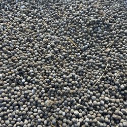 Dry Rabbit Fertilizer 