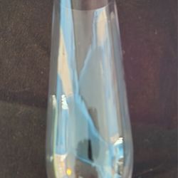 Reusable Plastic Champaign Glasses