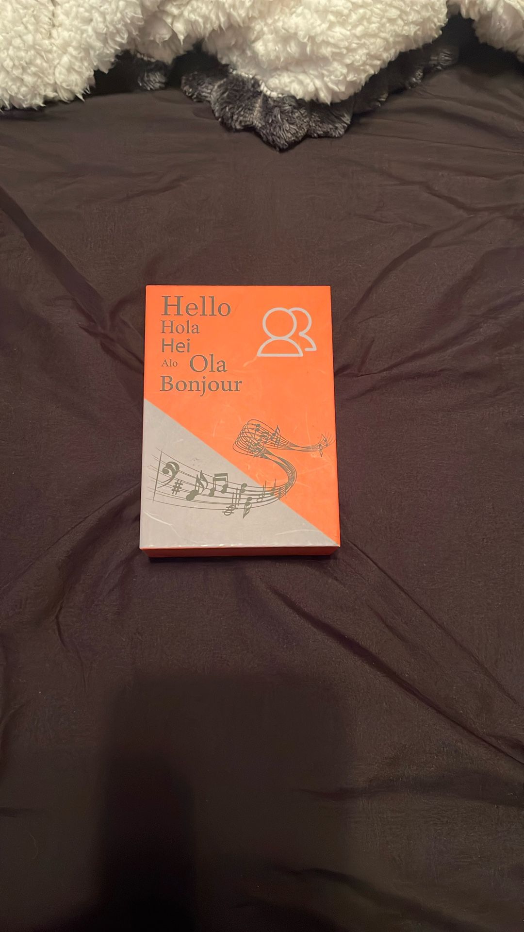 Translation Earbuds- New