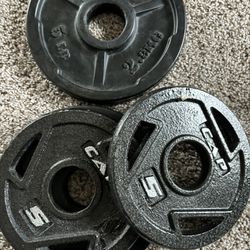 4x 5LBS weights