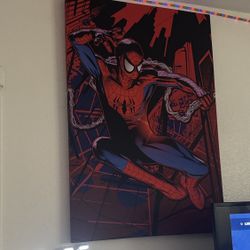 Spider Man Wall Art
