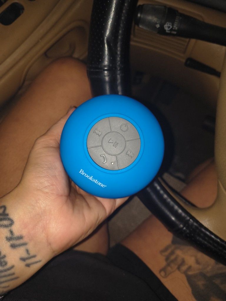 Brookstone Speaker 