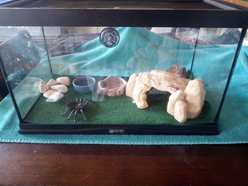 Critter Cage 