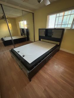 Power Bob Elite Bed