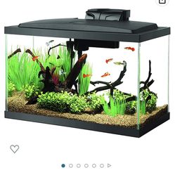 Aquarium Kit W Accessories 