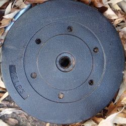 Weights 10lbs, 20lbS, 25lb. ($1 Per Lb)