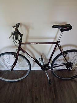 Giant Innova 21 Speed Commuter lightweight Bike Tall Rider 6 2" and up Bicycle for sale