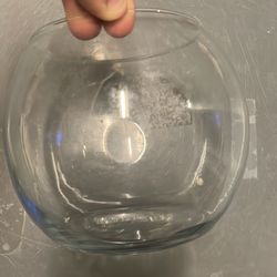 Best think for decode of fish