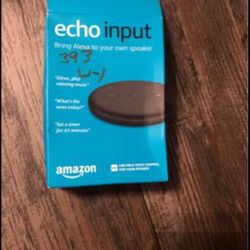 Echo Input