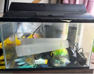 Fish tank