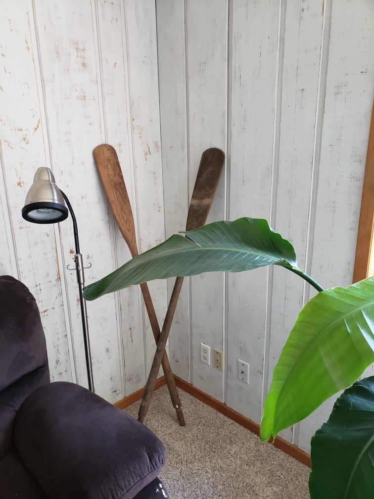 Wood Paddles / Decoration