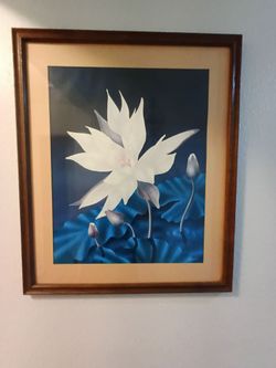 Justin Coopersmith: Framed White Lotus Flower Art Print