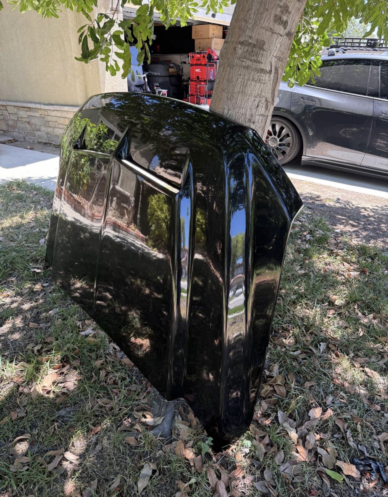 2021 To 2025 Ford F150 Cervini Hood