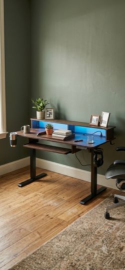 Electric Standing Desk with Monitor Riser and LED Lighting