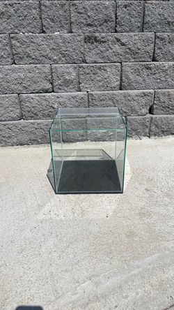 6 gallon aquarium