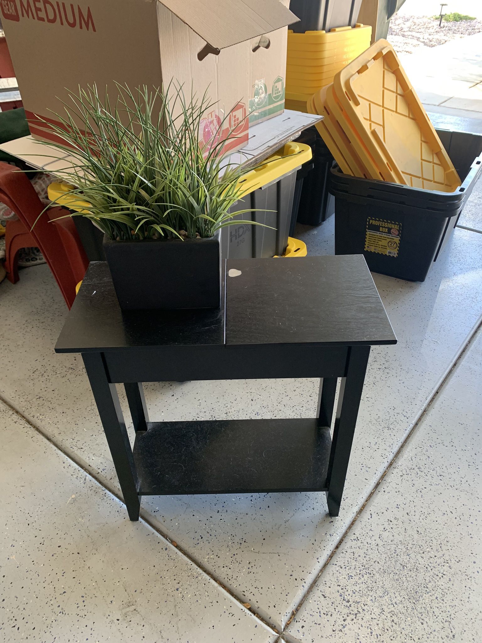 Plant And Table 