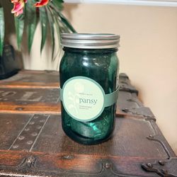 Modern Sprout Pansy Hydroponic Grow Kit Green Glass Mason Jar Planter Garden Kit