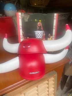 Chicago bulls