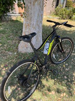 Adult mountain bike