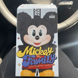 Mickey And Friends Popmart