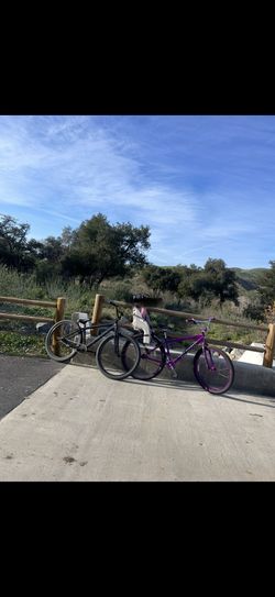 Purple Big Ripper 29”