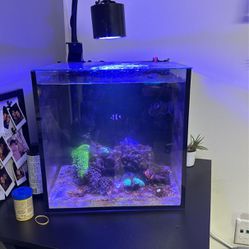 All In One Fish Tank 