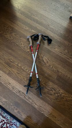 REI Traverse Titanium Telescoping Trekking Poles