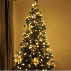 Indoor/Outdoor (1000LEDs, Warm White) LED Christmas Lights on Dark Green Cable with 8 Light Effect