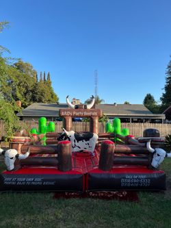 Mechanical bull