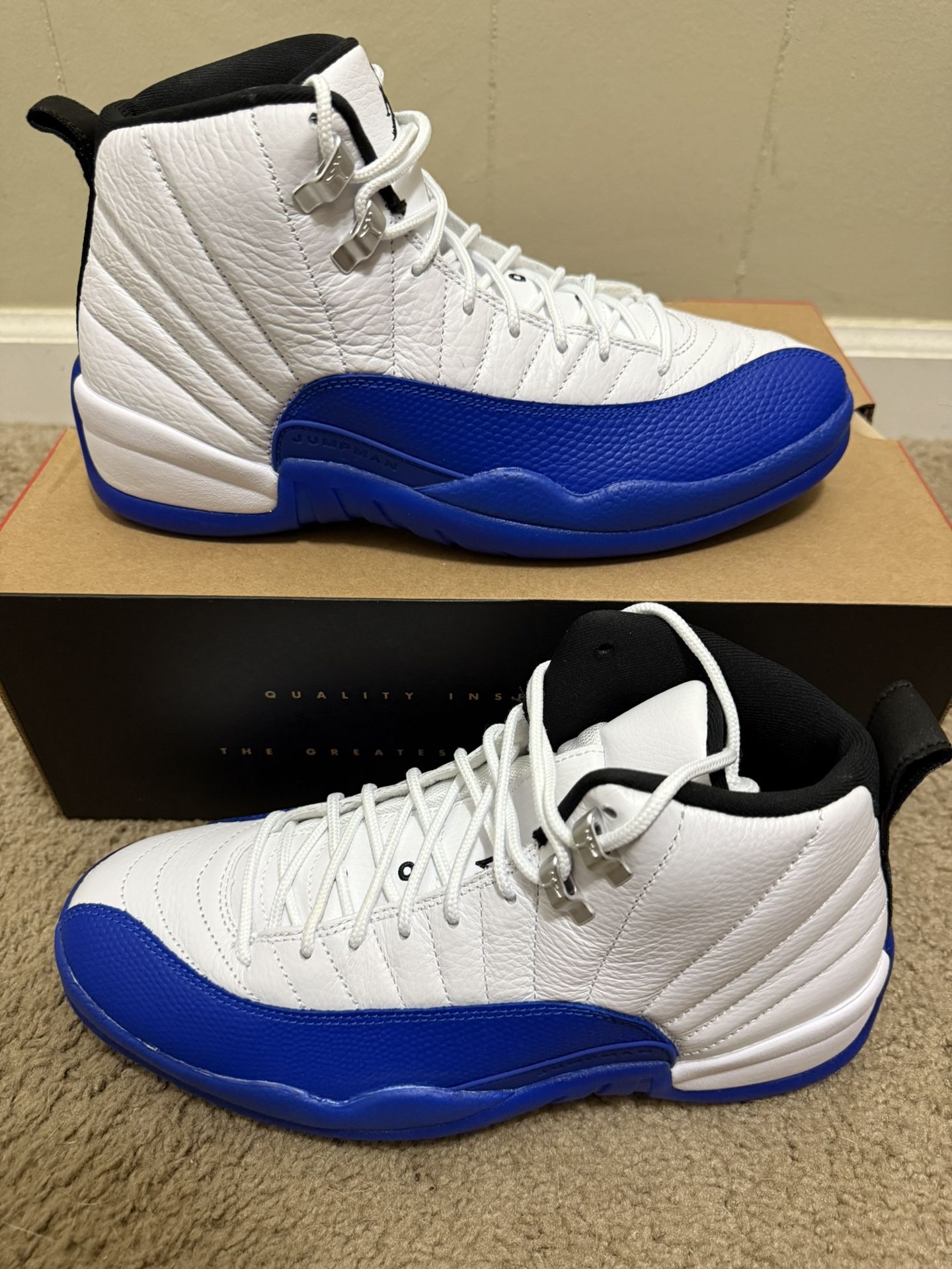 Brand New Jordan 12 Blueberry 