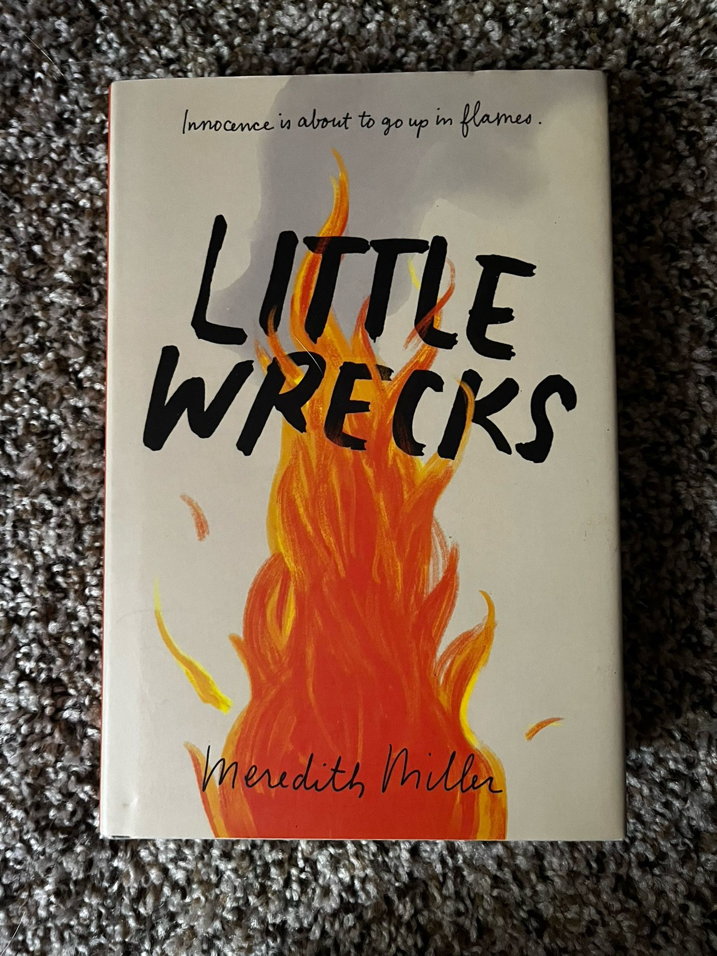 Little Wrecks Meredith Miller
