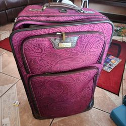Checked In Suitcase 