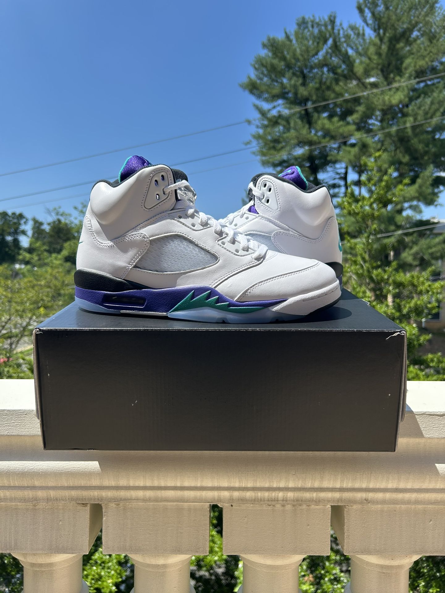 Jordan 5 Grape Sizes 10,11,12