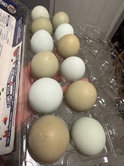 Dozen eggs