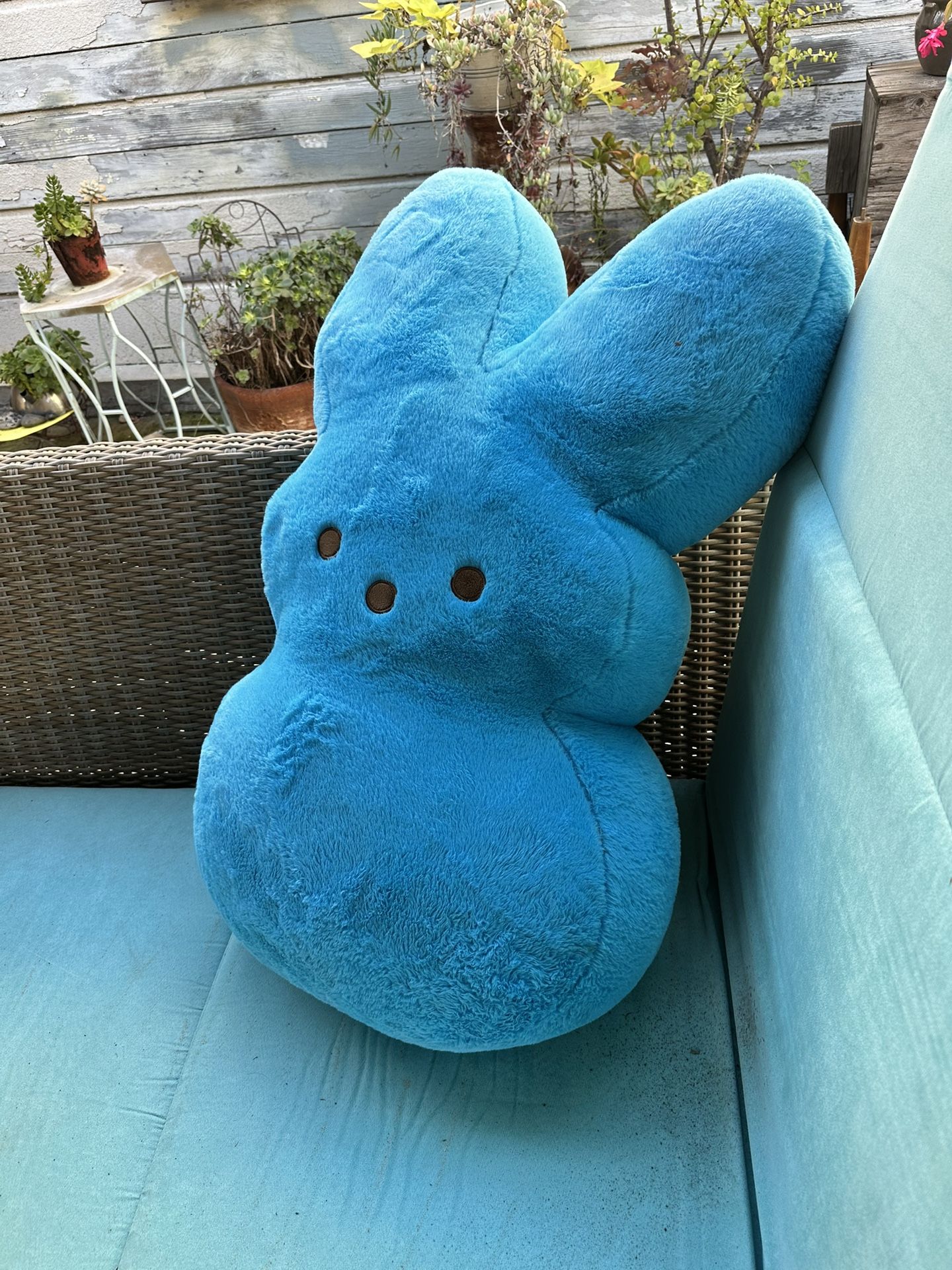 Giant Peep