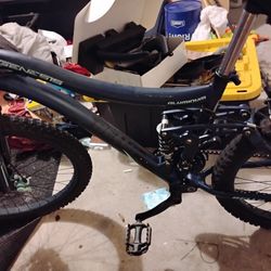 Genesis Bike