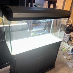 Aquarium 