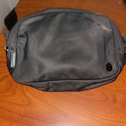 Everywhere Belt Bag 1L