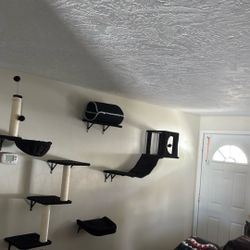 Cat wall