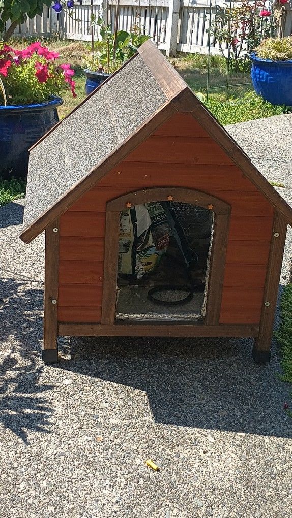 Animal House Dog, Cat