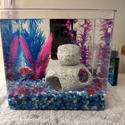2.5 Gallon Fish Tank and supplies