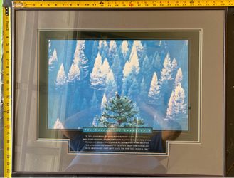Successories - 22x28 frame - The Essence of Leadership