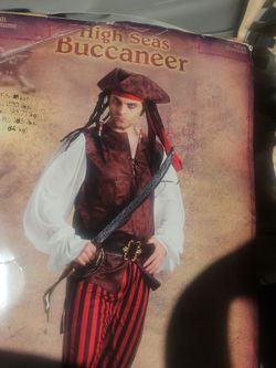 Pirate / buccaneer  adult costume