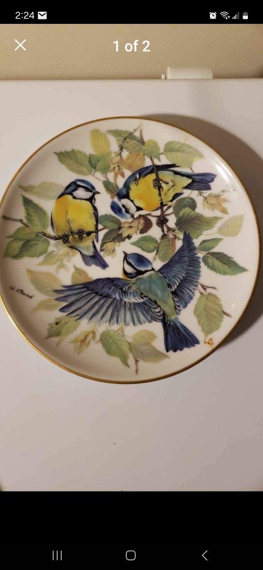 Collector Bird Plate