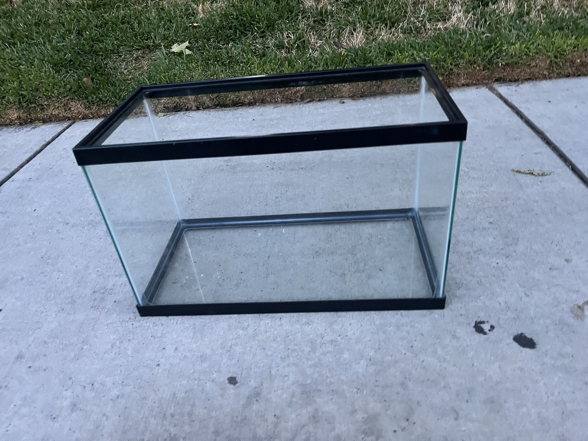 Fish Tank